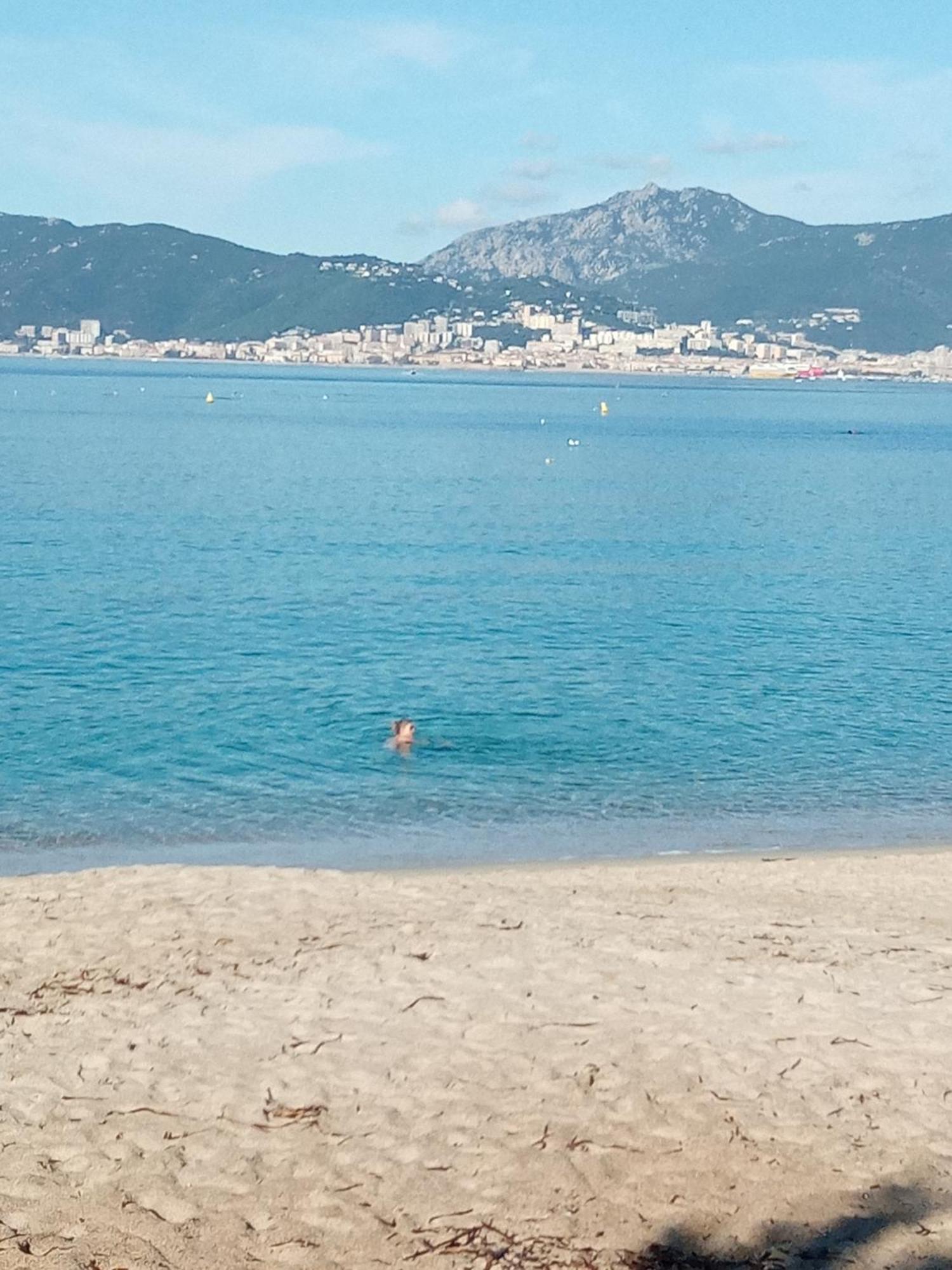 Appart 5 Personnes A Porticcio Avec 2 Piscines Materiel Enfant ,Bebe Clim Eksteriør bilde